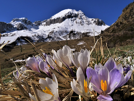 PASSO SAN SIMONE e FORCELLA ROSSA da San Simone-Baita Camoscio - 27apr22- FOTOGALLERY